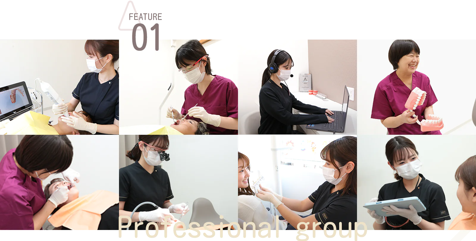 FEATURE 01 Professional group