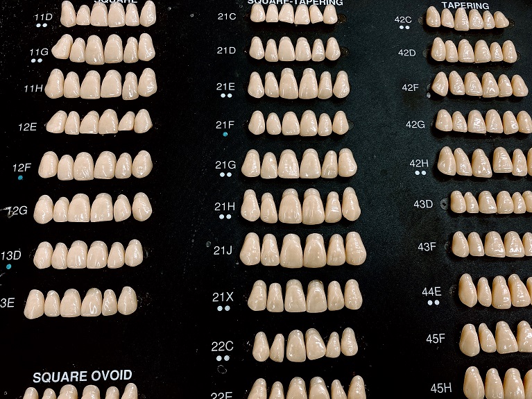 人工の歯並びの選択