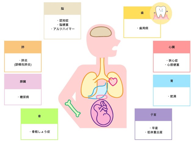 歯周病と全身の病気との関係