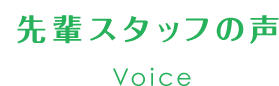 先輩スタッフの声 Voice