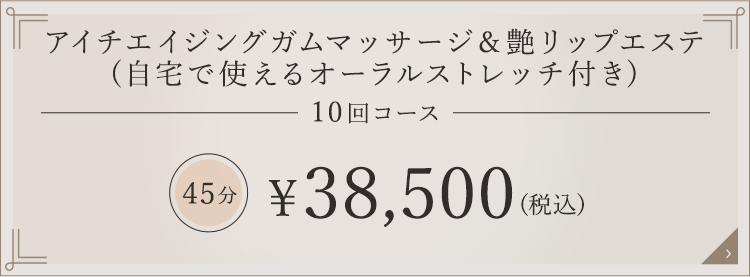 アイチエイジングガムマッサージ＆艶リップエステ 10回コース 45分 \38,500（税込）